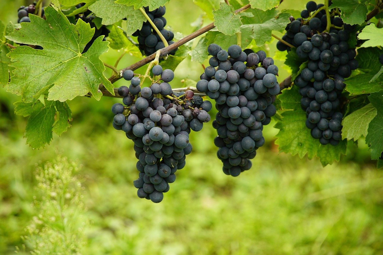 Sustainable production